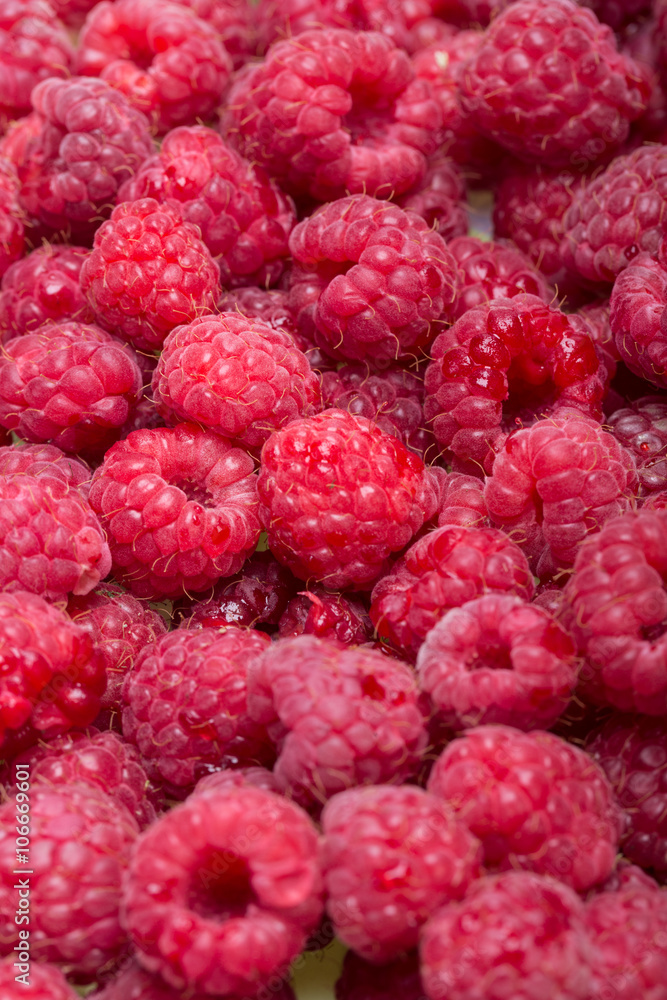 A beautiful selection of freshly picked ripe red raspberries. A beautiful selection of freshly picked ripe red raspberries.