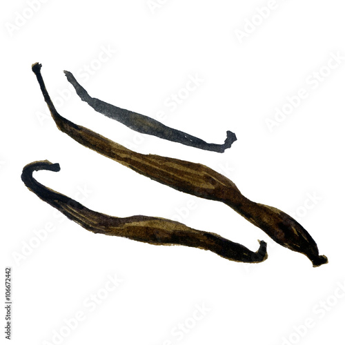 Watercolor vanilla sticks isolated