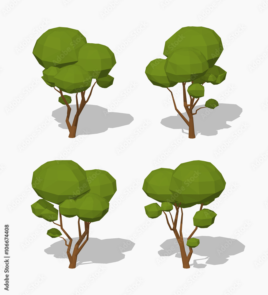Fototapeta Low poly green tree. 3D lowpoly isometric vector illustration. The set of objects isolated against the white background and shown from different sides