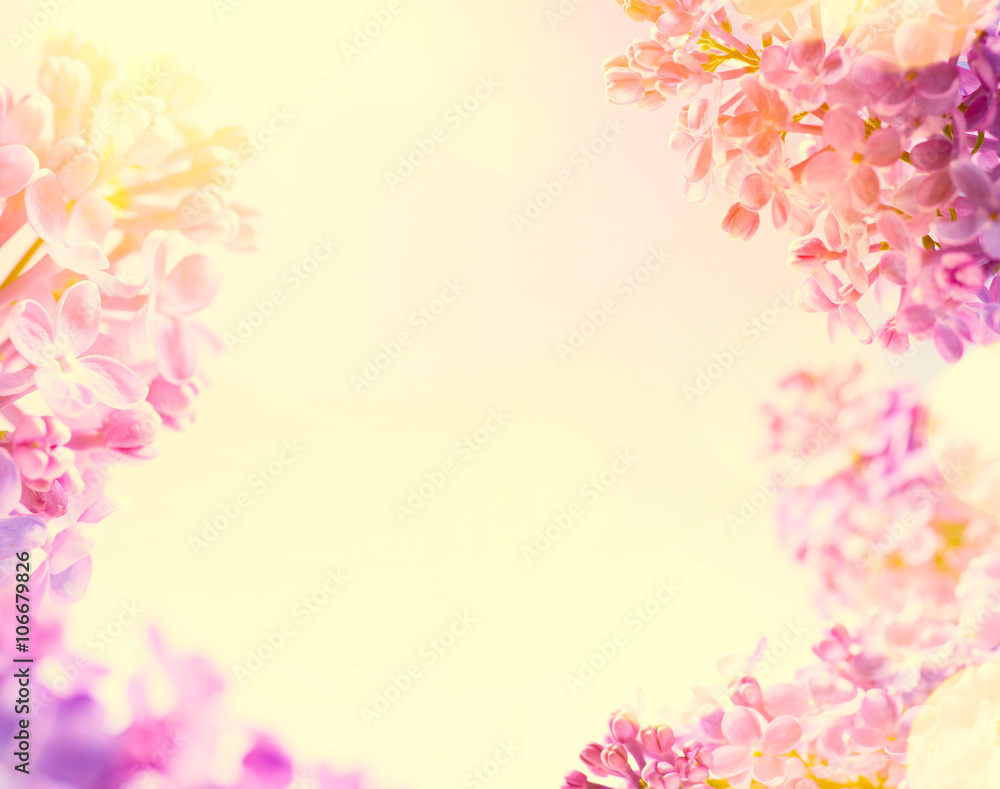 Fototapeta premium art Spring background with fresh spring flowers