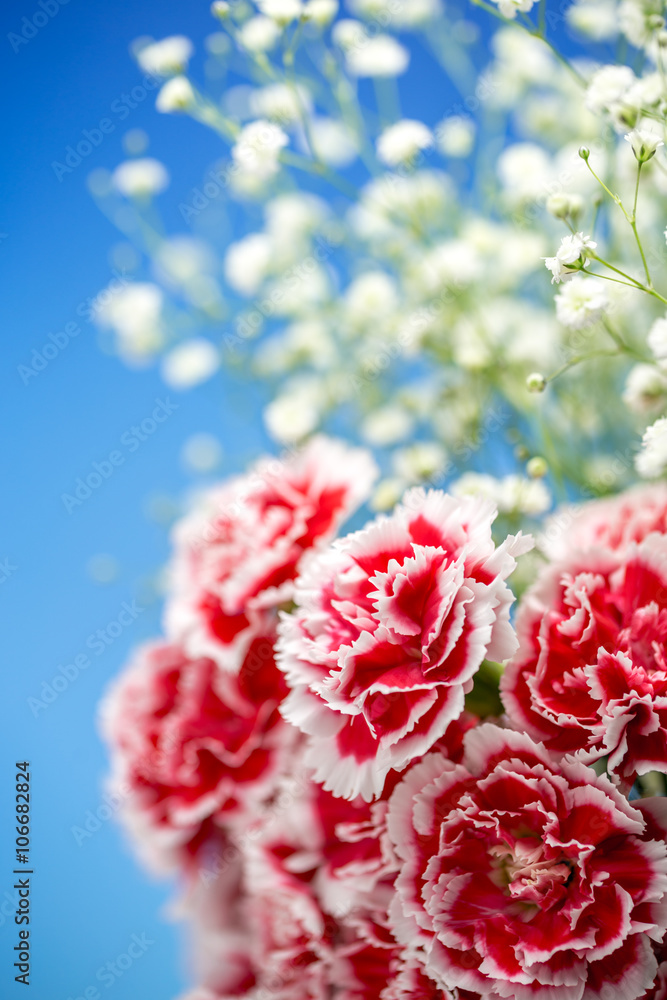 カーネーションの花