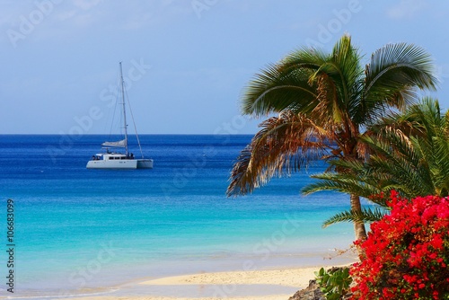 Fototapeta Naklejka Na Ścianę i Meble -  Blauer Ozean mit Segelyacht und Palmen