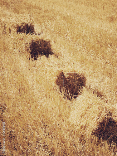 hay bales photo