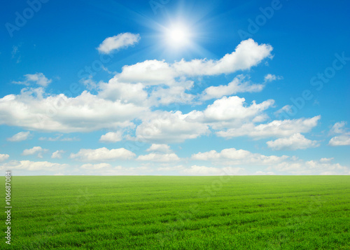Green field under blue sky