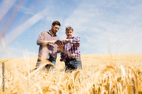 Two farmer using digital tablet in the field photo