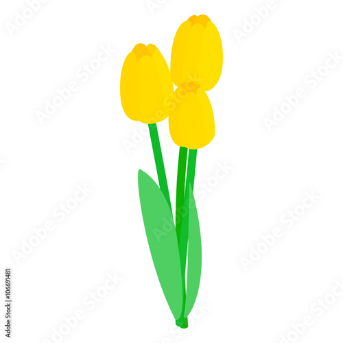 Yellow tulips icon, isometric 3d style