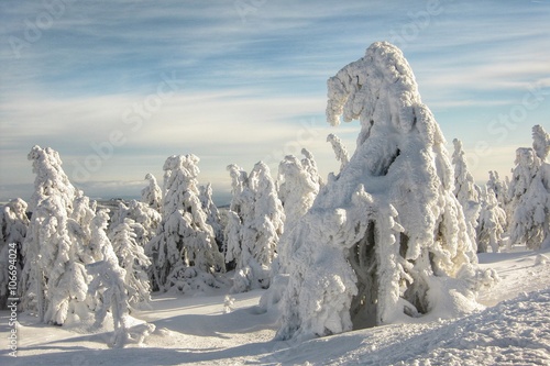 Winter Landscape with Frozen Snow Covered Trees and Cloudy Sky photo