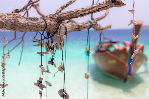 Coral decoration hang on the tree boat background with emerald sea. sunshine