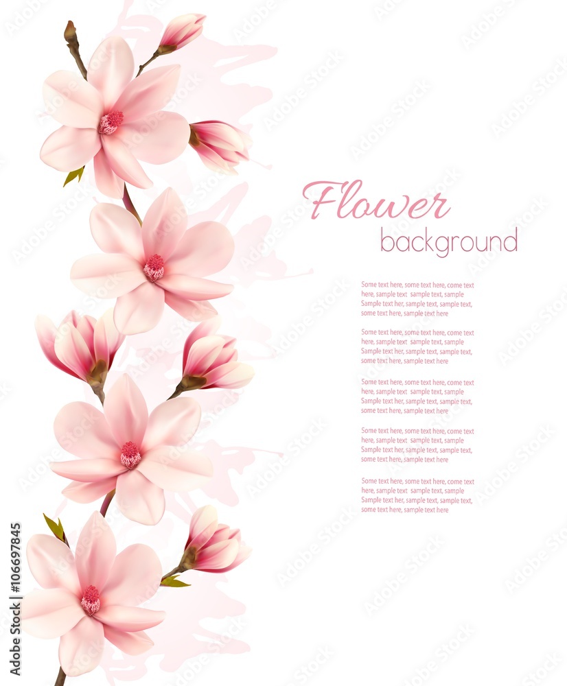 Beautiful pink magnolia background. Vector. Beautiful pink magnolia background. Vector.