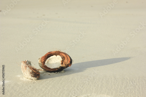 open coconut on white sand in beach