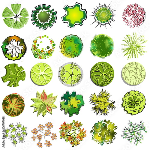 A set of treetop symbols, for architectural or landscape design