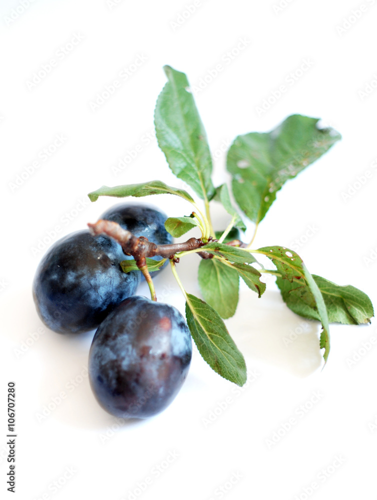 Three blue plums on white Three blue plums on white