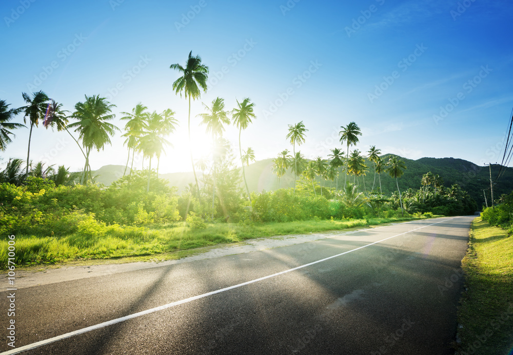 empty road in jungle of Seychelles islands empty road in jungle of Seychelles islands