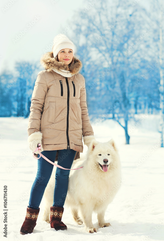 Woman owner and white Samoyed dog on leash walking in winter par Woman owner and white Samoyed dog on leash walking in winter par
