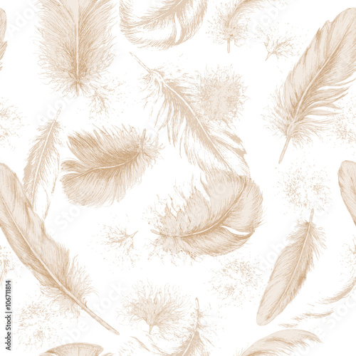 Seamless texture with hand drawn feathers.