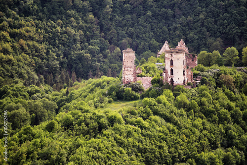 Ruins of old castle in the middle of the forest hills © NemanTraveler