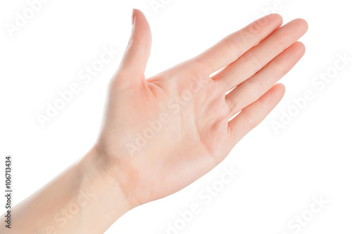 Open woman hand isolated