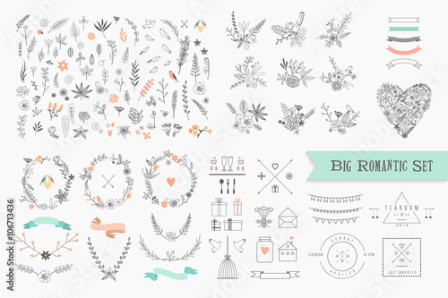 Hand Drawn vintage floral elements. Set of flowers, icons 