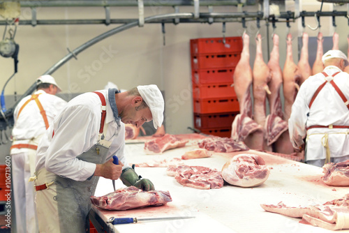 Processing of pig carcasses in a slaughterhouse photo