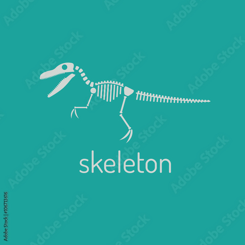 Dinosaur skeleton. velociraptor. velociraptor skeleton isolated on green background.