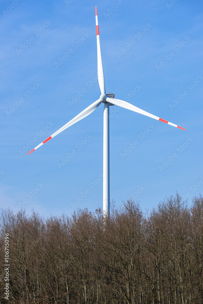 Windrad hinter einem Waldgebiet