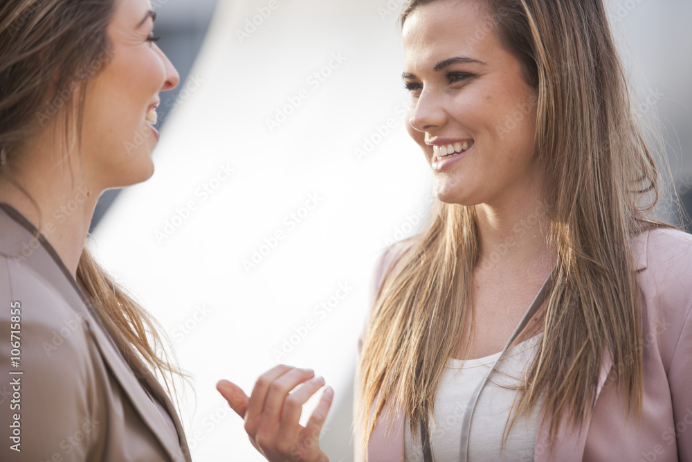 Two businesswomen communicating Two businesswomen communicating
