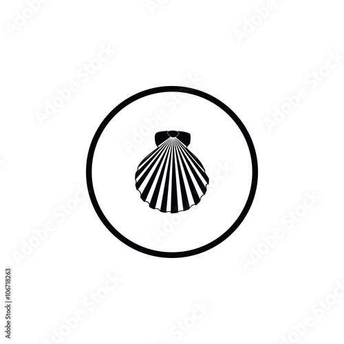 Icon shells.