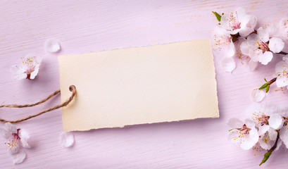 art Spring floral background with pink blossom