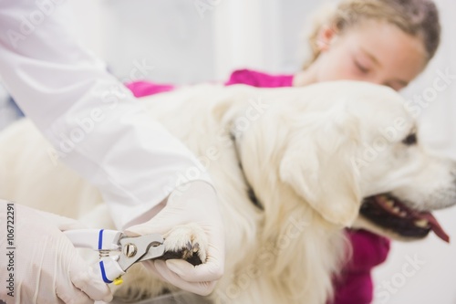 Dog getting nail trim by veteranian