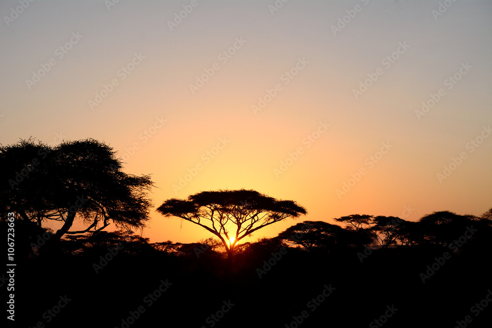 Sunrise, Amboseli National Park, Kenya