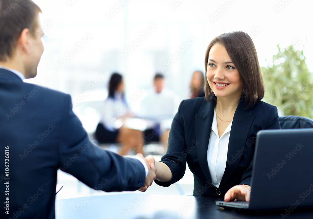 Two professional business people shaking hands