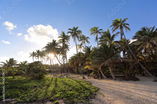 Sunset on Anse Michel Beach, Cap Chevalier, Martinique, Caribbean