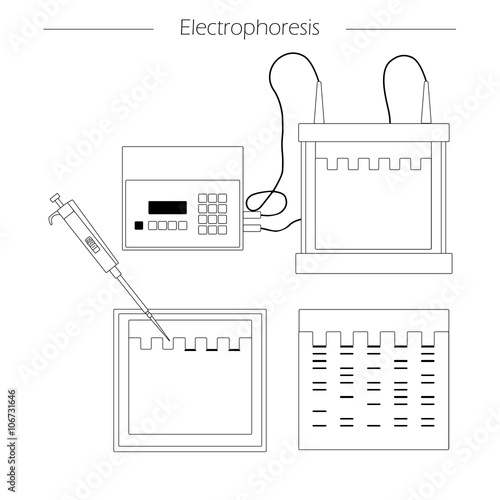 electrophoresis outline icon