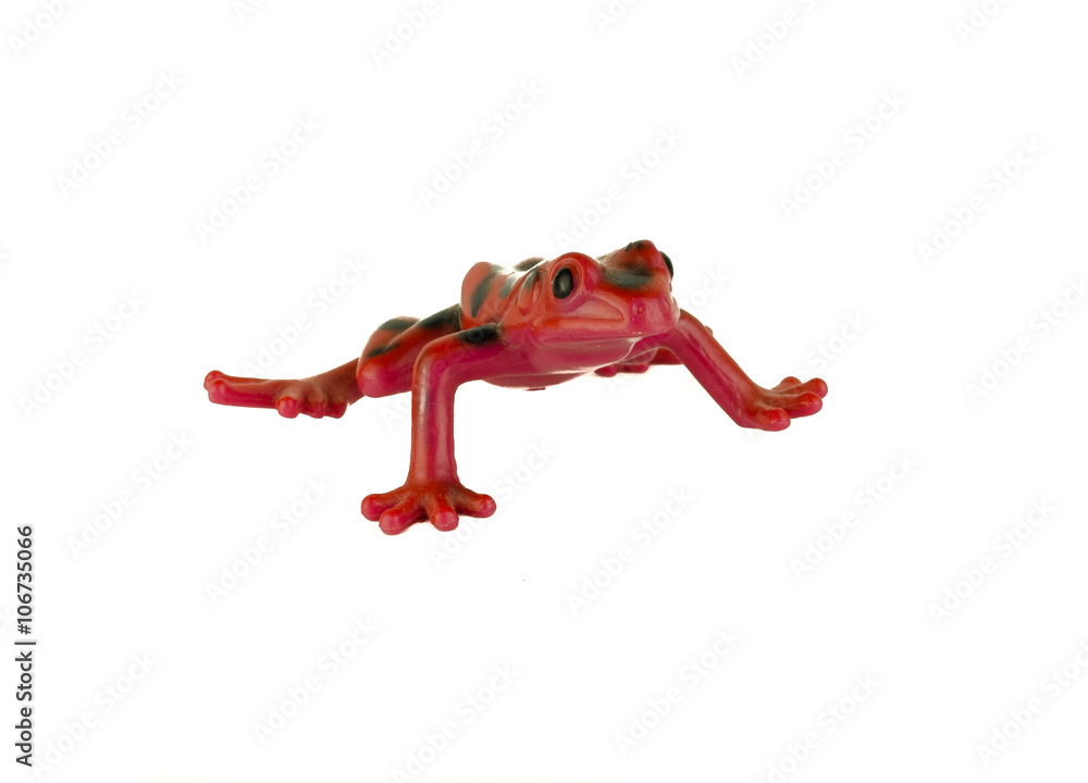 Red frog toy on white background / Green rubber frog toy - bath toy - white  background isolated / Platoon green toy frogs. Close up view / Toy frog  Photos