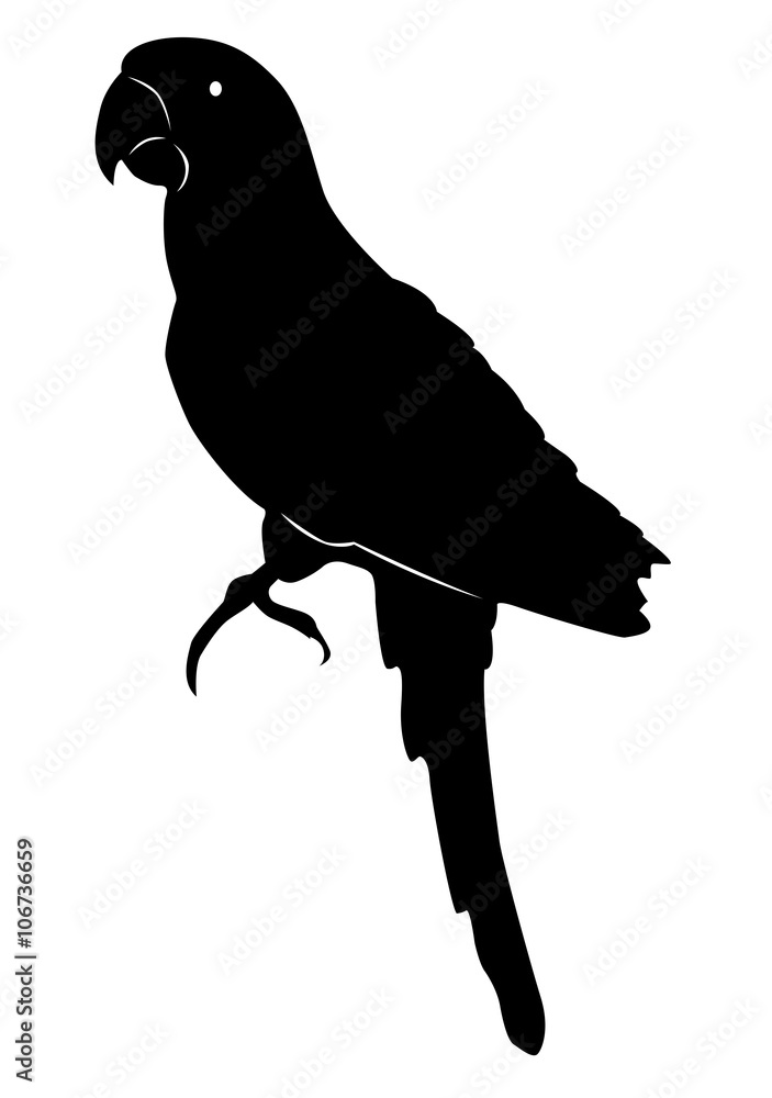Fototapeta premium Illustration d'un perroquet - Motif idéal pour un thème pirate
