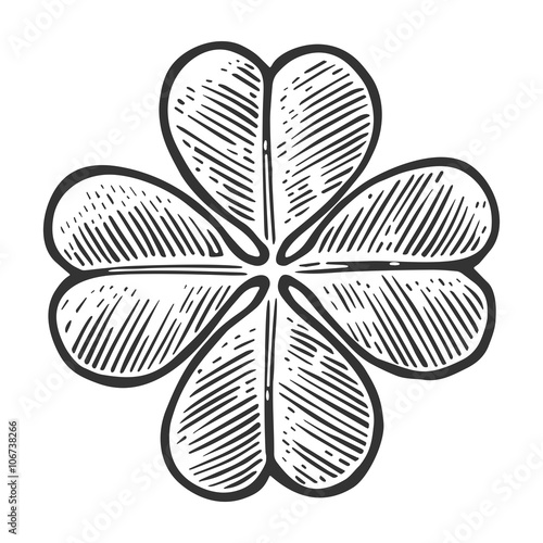 Good luck four leaf clover. Vintage vector engraving illustration for info graphic, poster, web. Black on white background