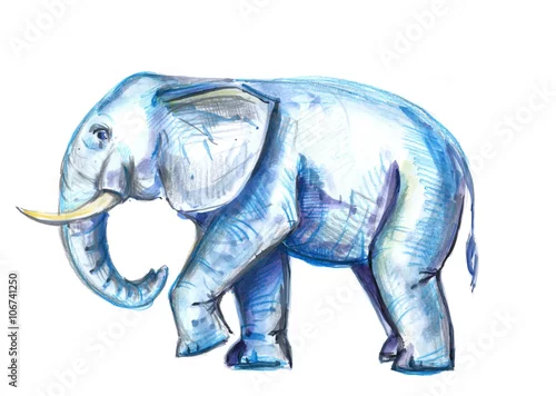 Naklejka na ścianę ręcznie malowane akwarela słonia. akwarela ilustracja