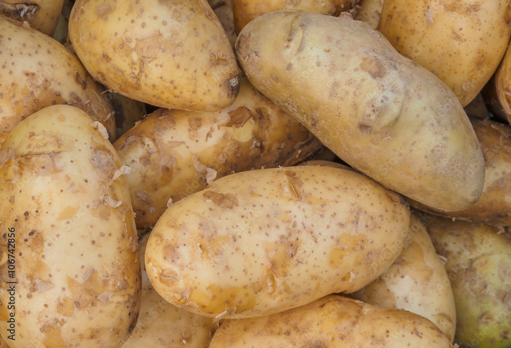 Fresh organic potatoes sold on morning market Fresh organic potatoes sold on morning market