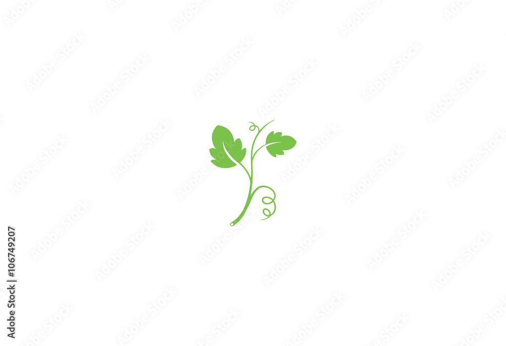 grape leaf vector illustration isolated on white background logo