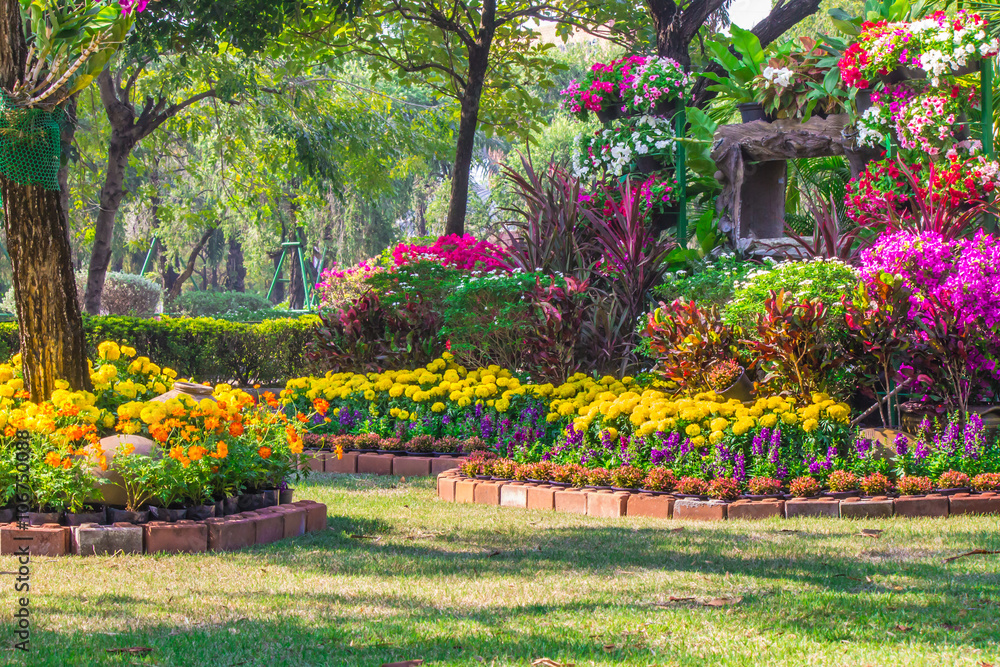 Flowers in the garden on summer. /Landscaped flower garden with lots of colorful blooms on summer.
