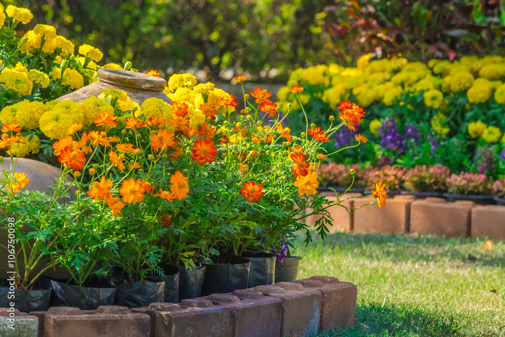 Fototapeta premium Flowers in the garden on summer. /Landscaped flower garden with lots of colorful blooms on summer. 