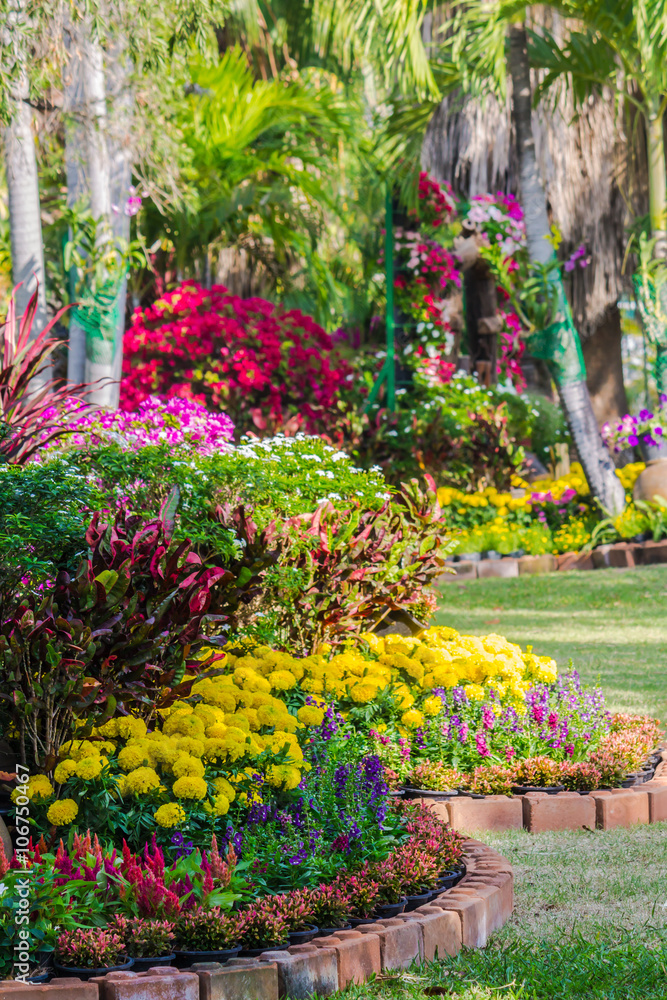 Flowers in the garden on summer. /Landscaped flower garden with lots of colorful blooms on summer.