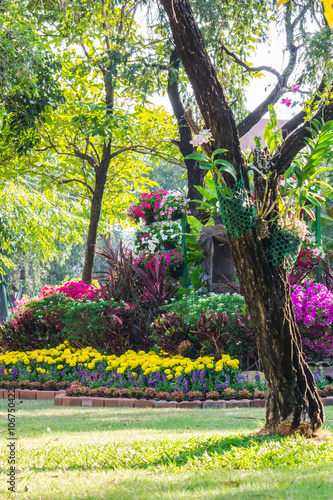 Flowers in the garden on summer. /Landscaped flower garden with lots of colorful blooms on summer.