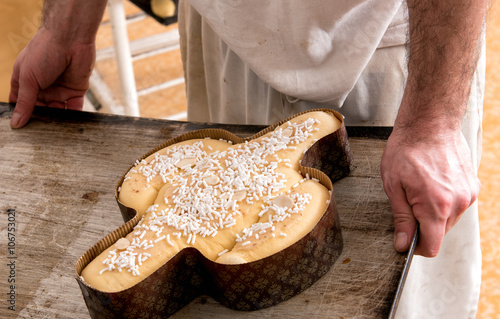 Baker about to place a colomba cake in the oven photo