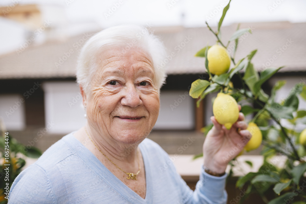 Portrait of happy senior woman holding lemon of her lemon tree Portrait of happy senior woman holding lemon of her lemon tree