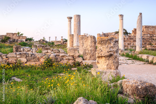 Ancient city of Salamis located in on Cyprus.