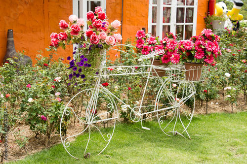 Vintage bicycle decor with flower in garden