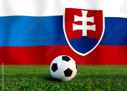 Soccer Euro 2016   Football    Russia  and Slovakia