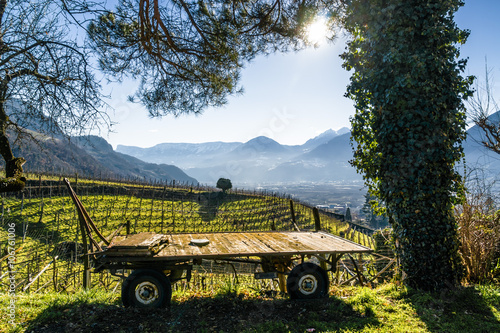 Sunny view of vineyards valley of castle Rametz near Merano.