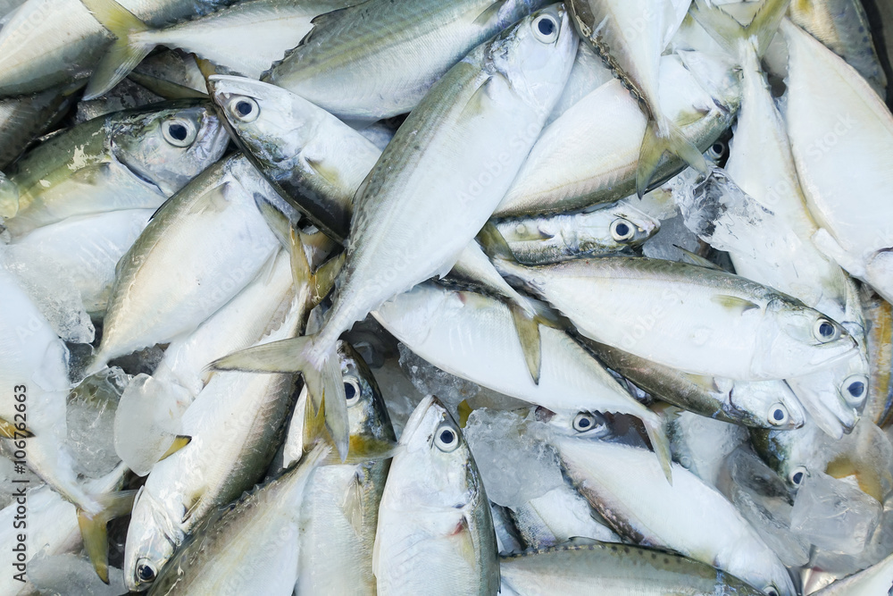 Obraz premium close-up fresh fish for sell at market